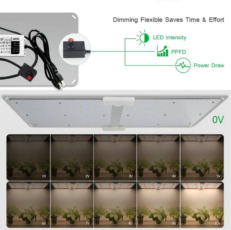 What is the prospect of LED grow lights?