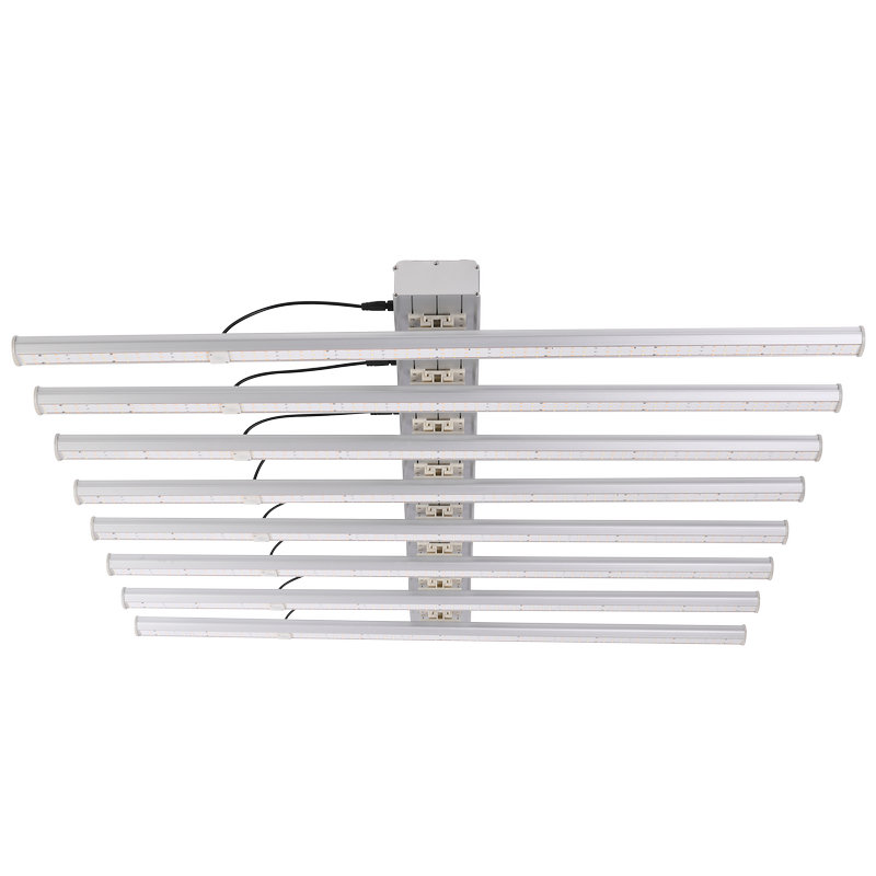 Which is more important, planting technique or LED grow light?