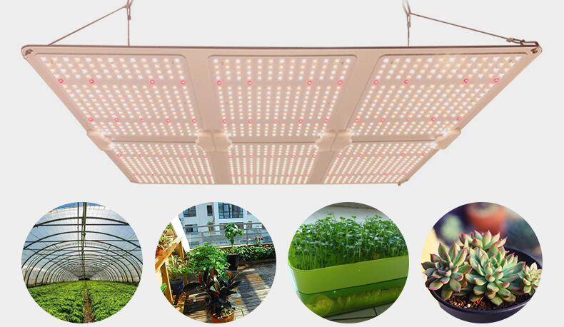 Plant lighting accounts for the highest proportion, and will continue to increase investment